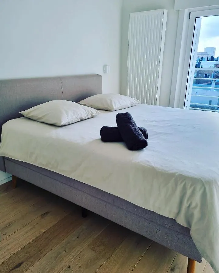 Chez Coceau - Luxery Apartment With Sea View 奥斯滕德 0*,